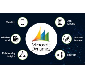 4 Microsoft Dynamics 365